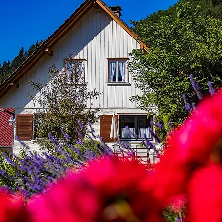 Apartman Haus Niedermaettle *