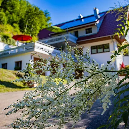 Haus Niedermaettle * Oppenau