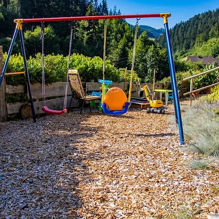 Haus Niedermattle Оппенау