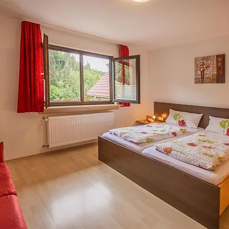 Haus Niedermattle Апартаменты