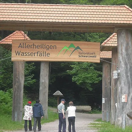 Апартаменты Haus Niedermattle Оппенау