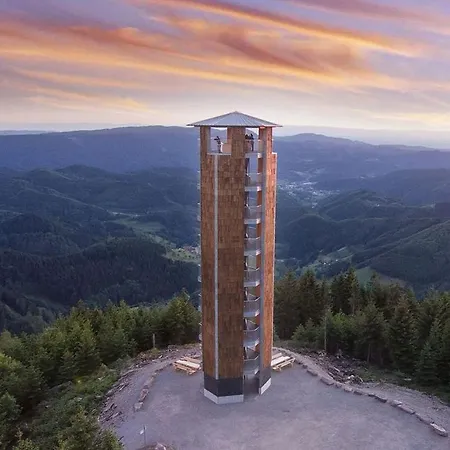 Апартаменты Haus Niedermattle